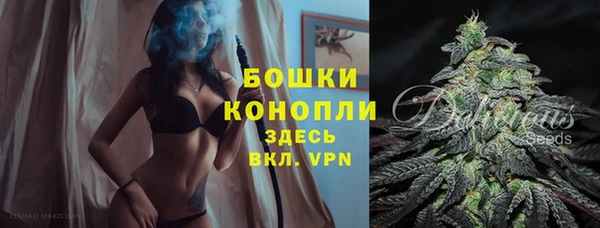спиды Верея