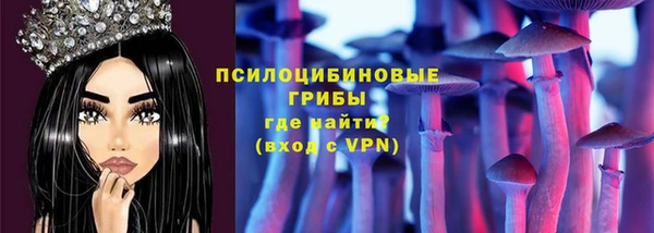 шишки Волосово