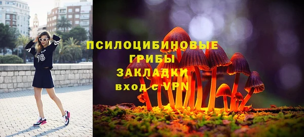 спиды Верея