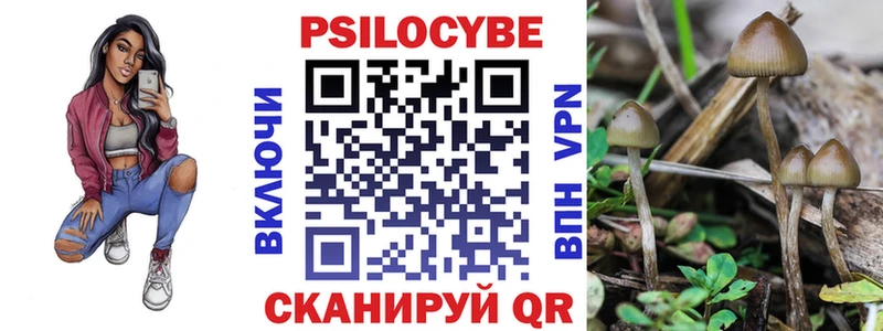 ОМГ ОМГ tor  Армавир  мориарти наркотические препараты  Галлюциногенные грибы прущие грибы 